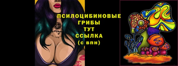 2c-b Абаза