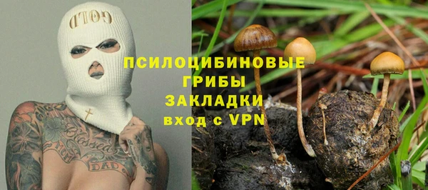 2c-b Абаза