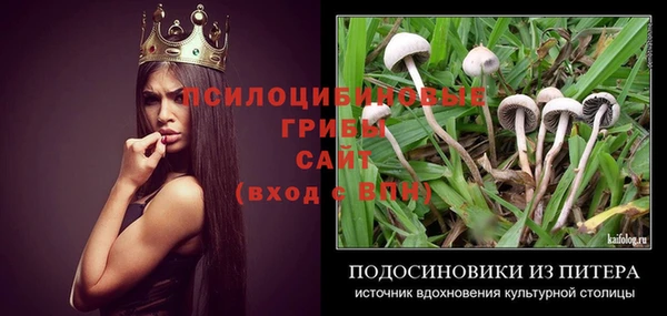 скорость Алексин