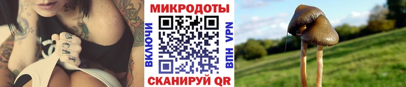 Галлюциногенные грибы Cubensis наркота Фрязино