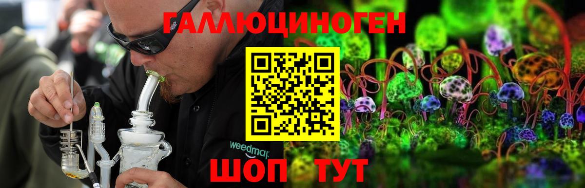 Фрязино  Псилоцибиновые грибы мухоморы  Вход с VPN 